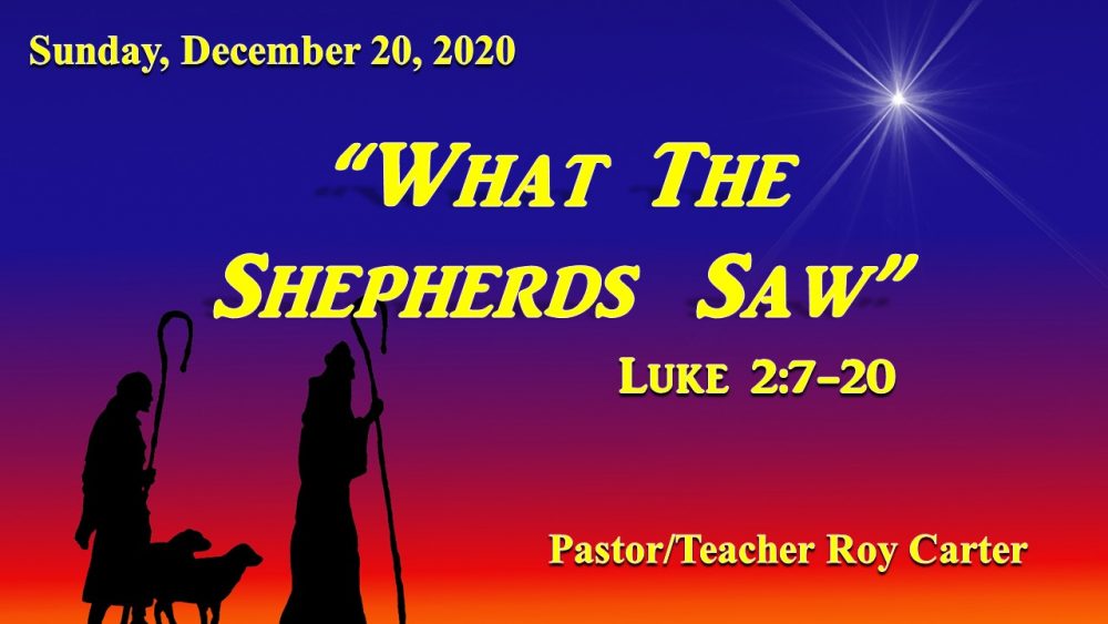 What the Shepherds Saw