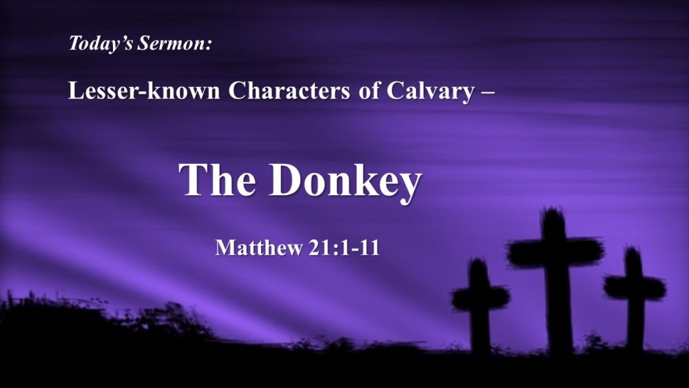 Lesser-known Characters of Calvary - The Donkey Image